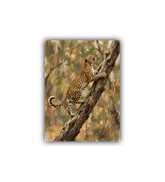 Leopard on a branch in a natural setting