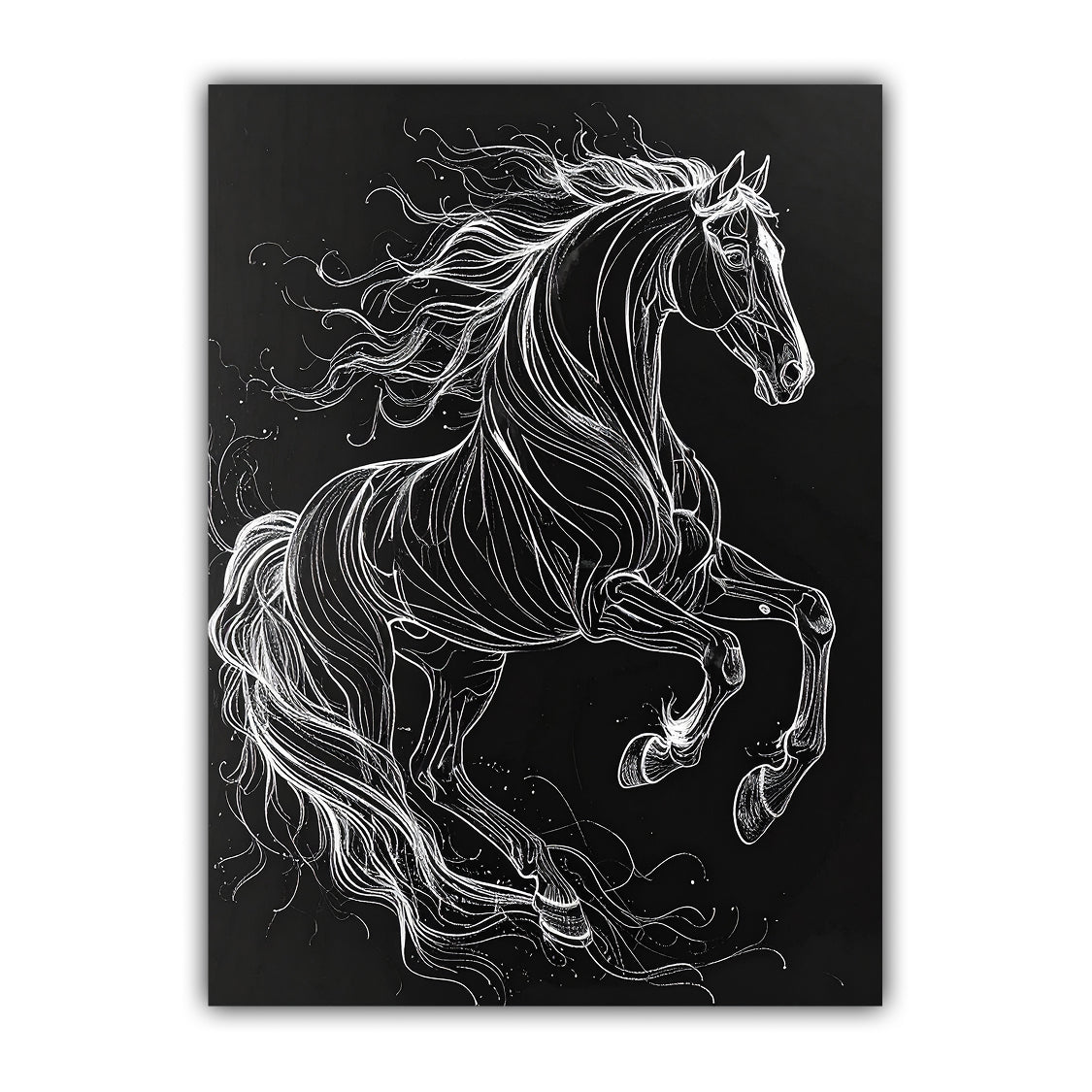 Majestic Black Horse Monochrome Line Art Painting