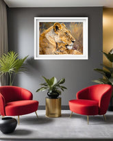 Modern lion canvas artwork showcased in a contemporary lounge with red accent chairs.